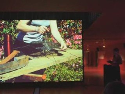 Pecha kucha nanacy vol 1 4/10 caroline leloup