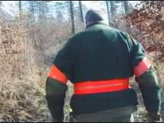 Le sanglier et ses chasses