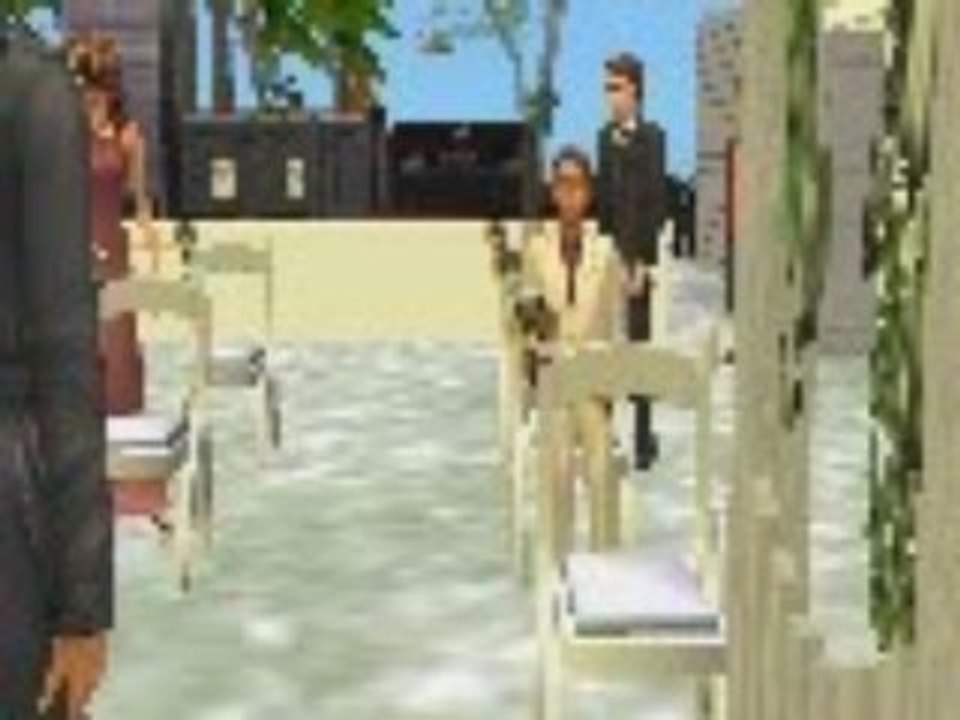 Mes sims