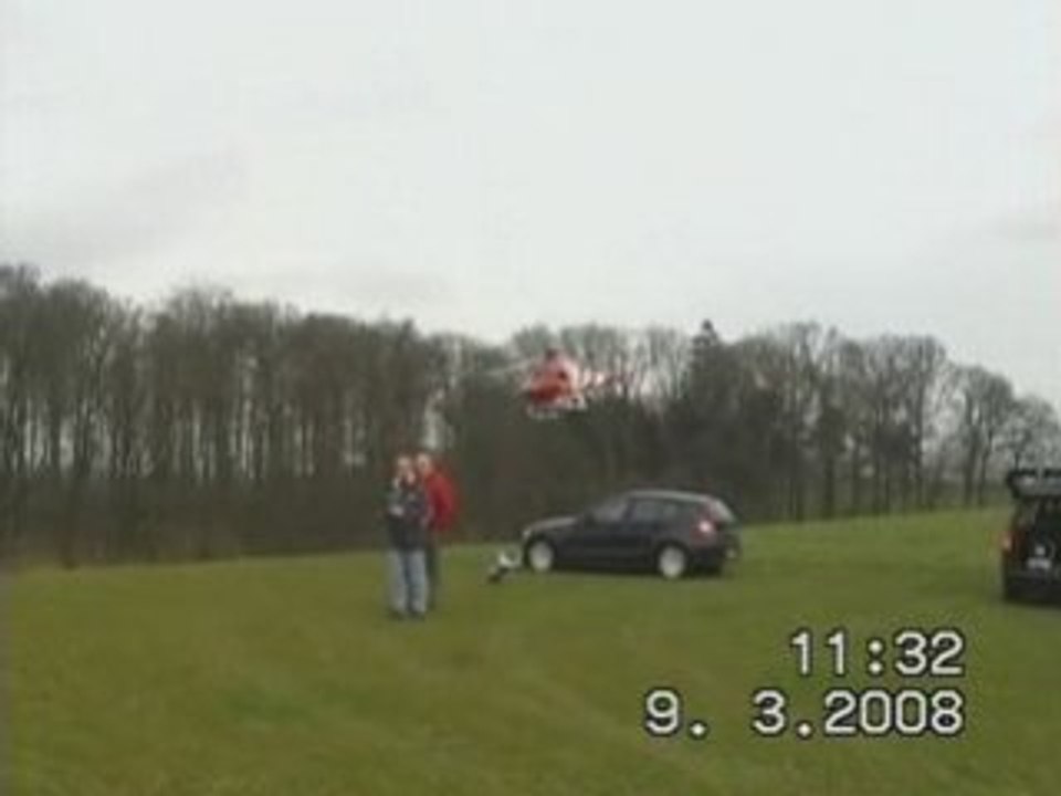 Die Ecureuil bei Wind