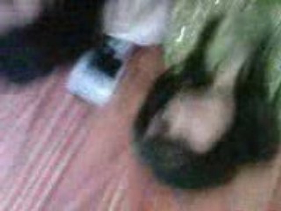 Mulhouse 68200 Mariage Siham