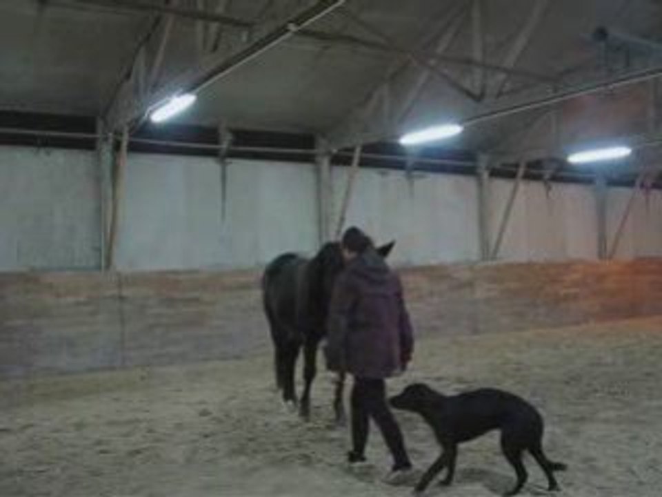SansTitre_0002
