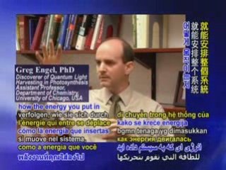 Quantum Secrets of Photosynthesis: Dr. Greg Engel–Part 1