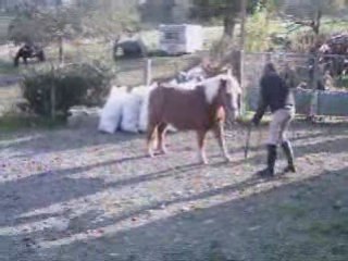 Idol au pas espagnol