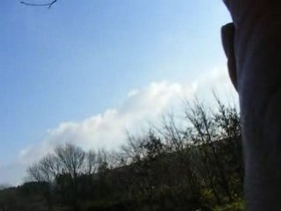 Ptit beuf Ajna et Saby