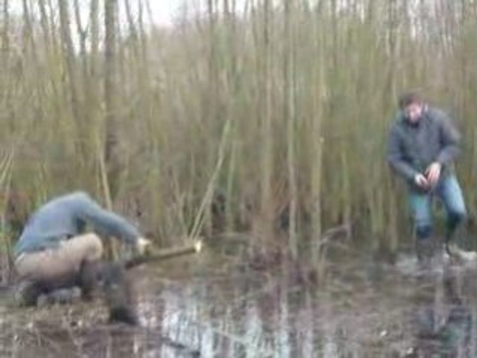 Les profs en chantier