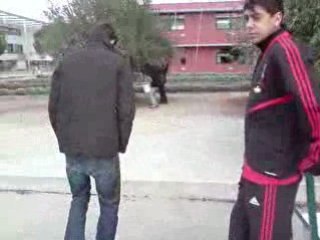 le 111208 allez les olives