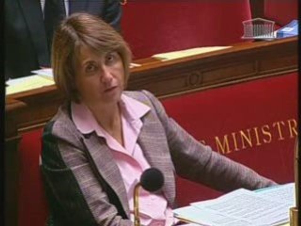 P-A Muet, Loi Audiovisuelle  à l'Assemblée le 4 déc 2008