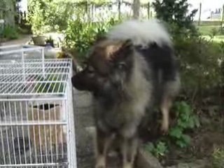 JARDINS JUILLET 2008012