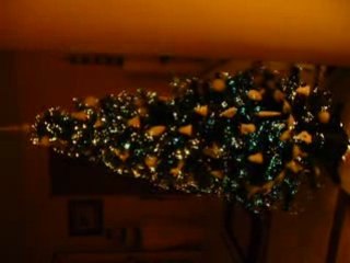 sapin  fibre optique