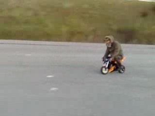 Premier essai MT4 par Lionel