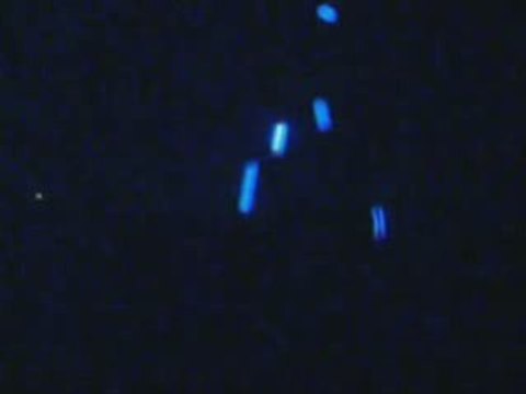 Julien et ses balles lumineuses