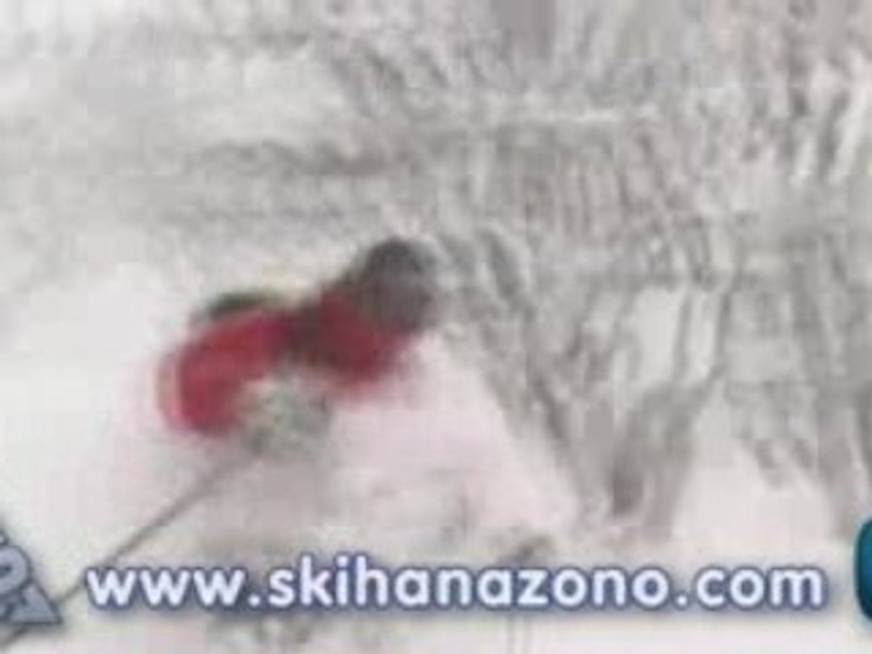 Ski Deep powder snow in Niseko Japan