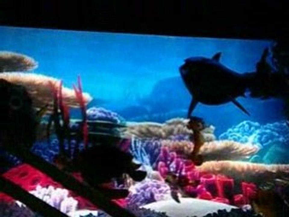 Pbuttons Cave Hide Out