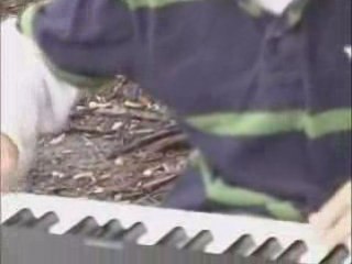 Jaren Performing" Wasted State of Mind"