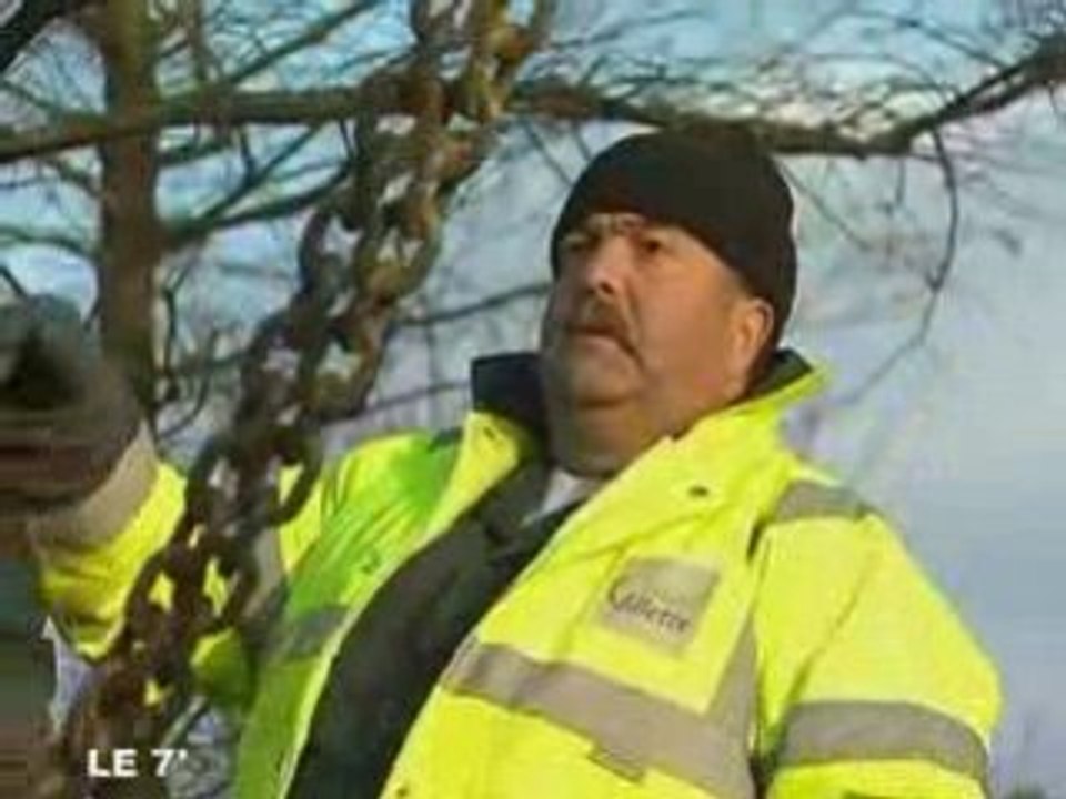 Angers / Parc Terra Botanica : 2000 arbres à plantés