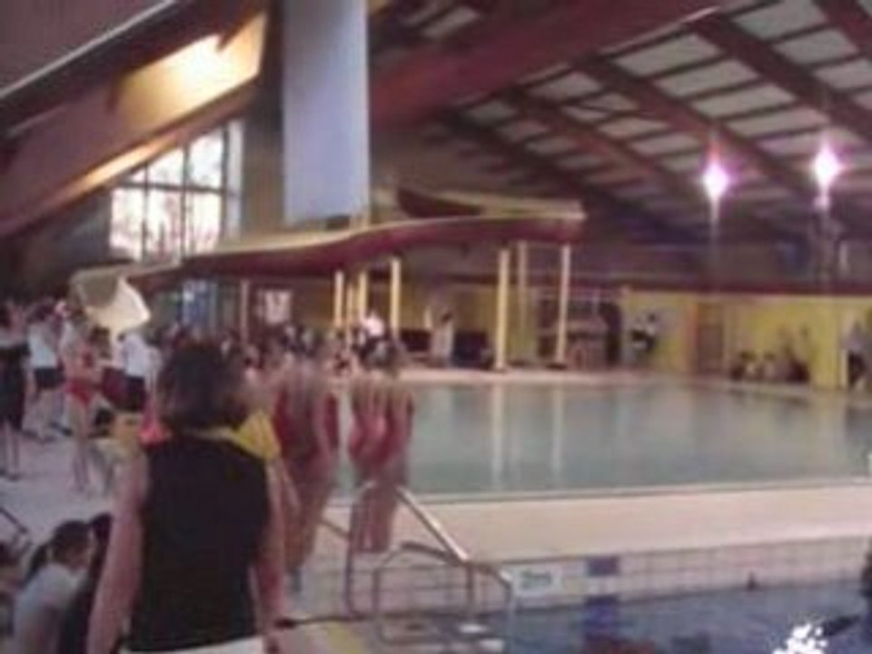 Ballet Saran