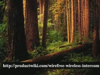 PSP Emulator: Play Classic Games on Modern Devices