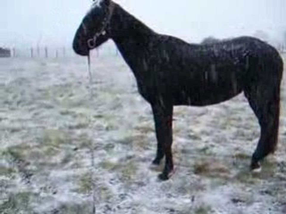 Première neige