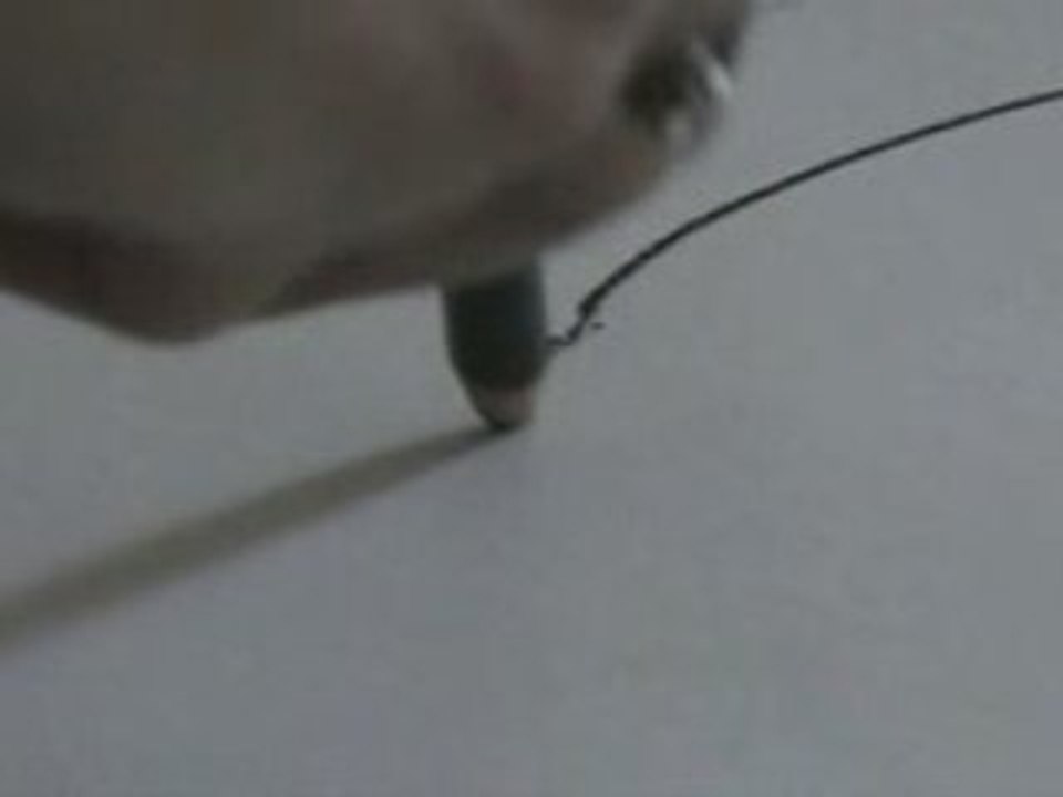 Lines