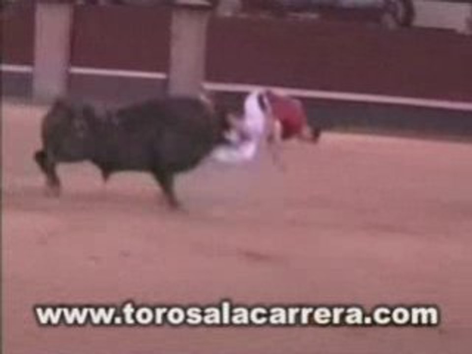 Recortes Final 2003