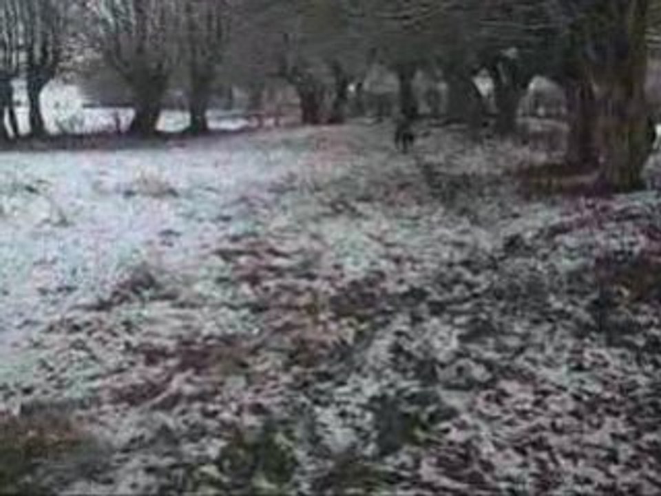 Pompom et la neige