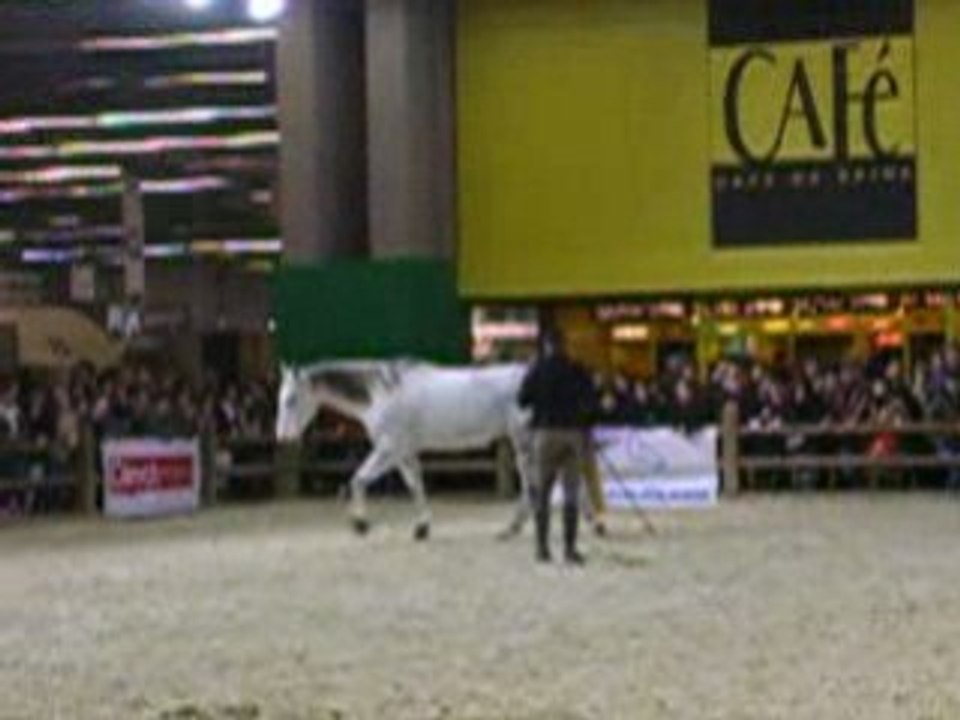 Andy et Oakies (1) salon du cheval 2008