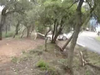 rallye du var 2008 marty