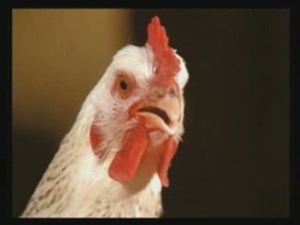 Full metal Poulette