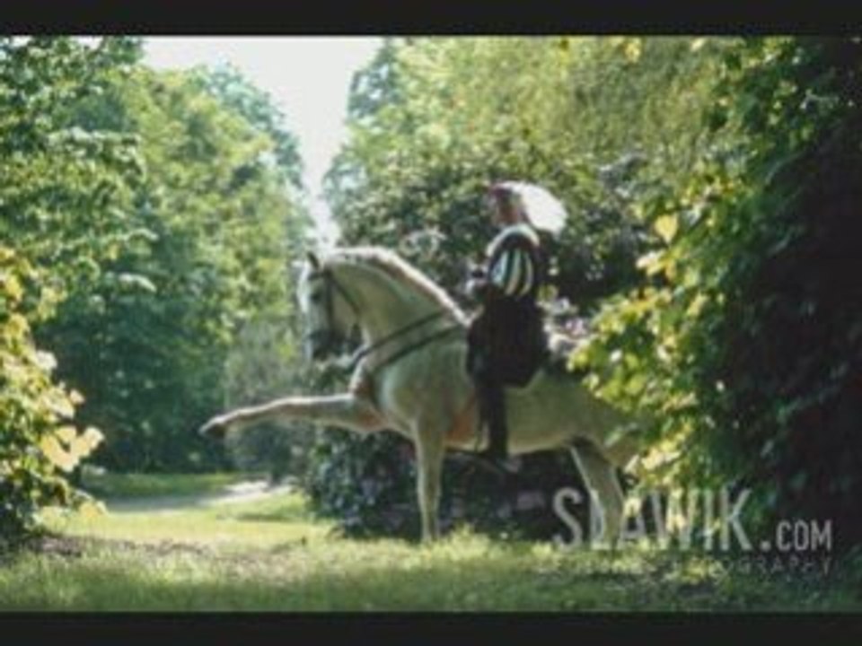 Chevaux