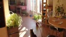 Repas s'il te plaît!