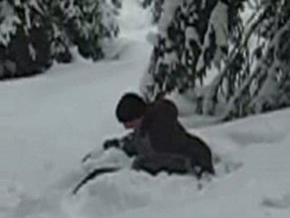 saltot dans la neige by tom