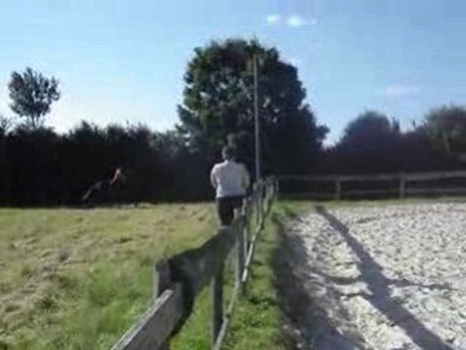 MOV00099