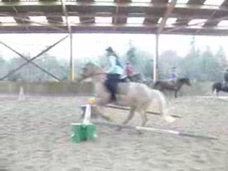 Moi sur Gerfaut - Mise en selle