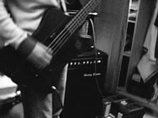 basse distorsion epiphone thunderbird Mushu