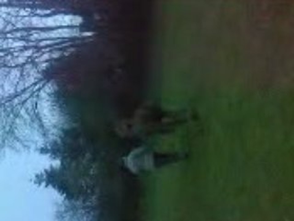 Vodka saut de mouton + trot espagnol