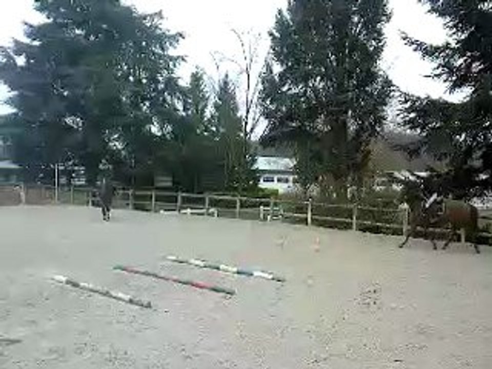 Madison et Moi Obstacle