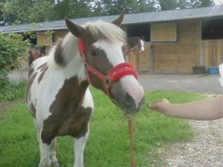 Montage de isabelle et moi !