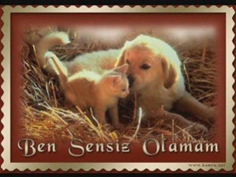 Cagrı - Careler Caresiz