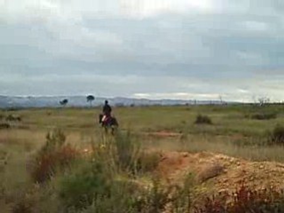 au ptit trot