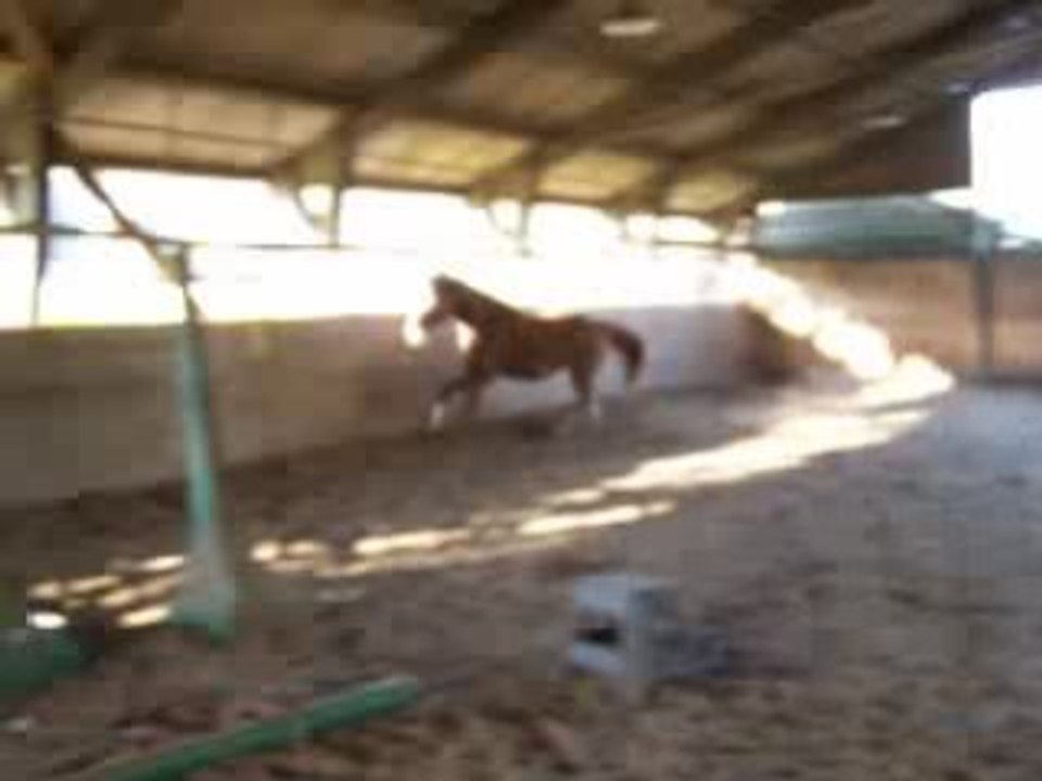 Reine des gironnets saut en liberte