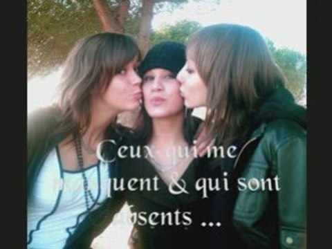 MES AMIS, MES AMOURS, MES EMMERDES.