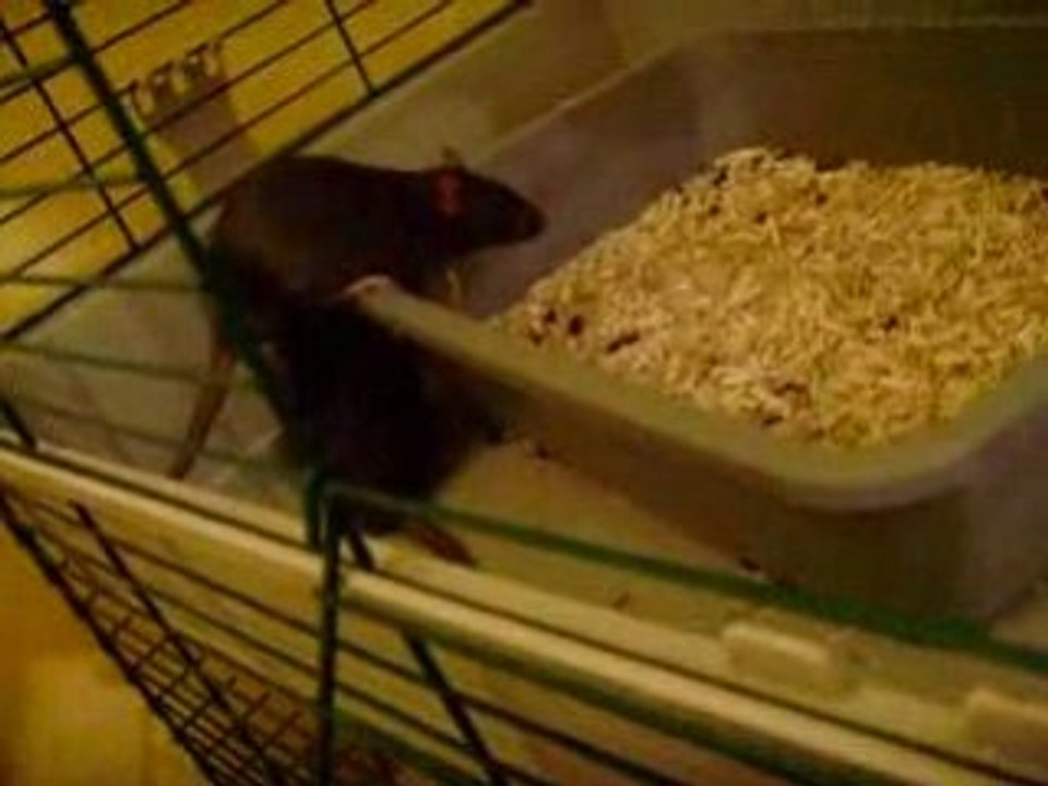 Zébulba & Zéphyr 3