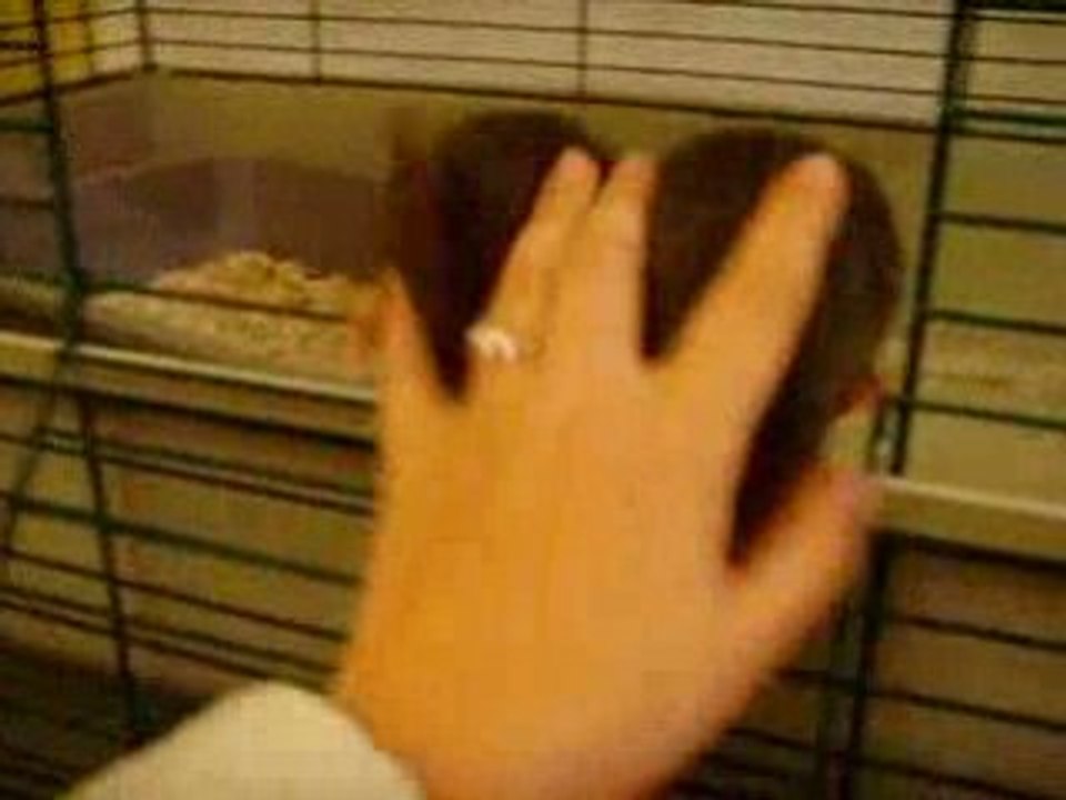 Zébulba & Zéphyr 2