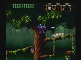 Demon's Crest Walkthrough 2