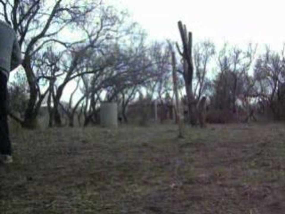 Photo 091