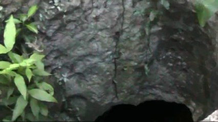 28 - Cénote aux environs de Chichén Itzá