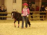 Salon du cheval 2008
