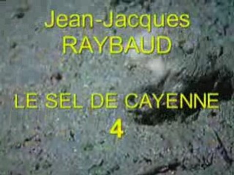 LE SEL DE CAYENNE 4 Jean-Jacques RAYBAUD