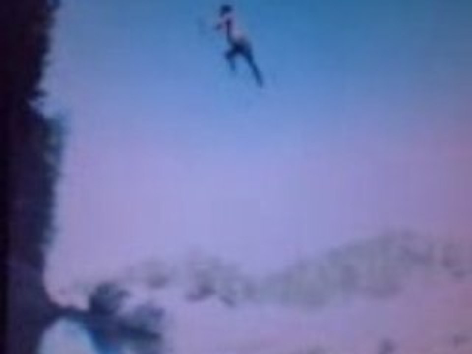 Chute mortelle